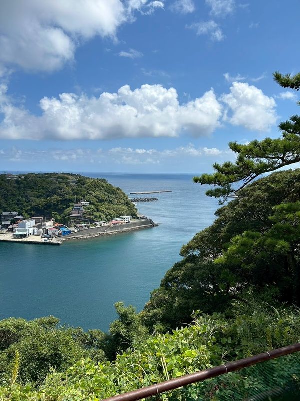 伊豆大島の港と海の風景