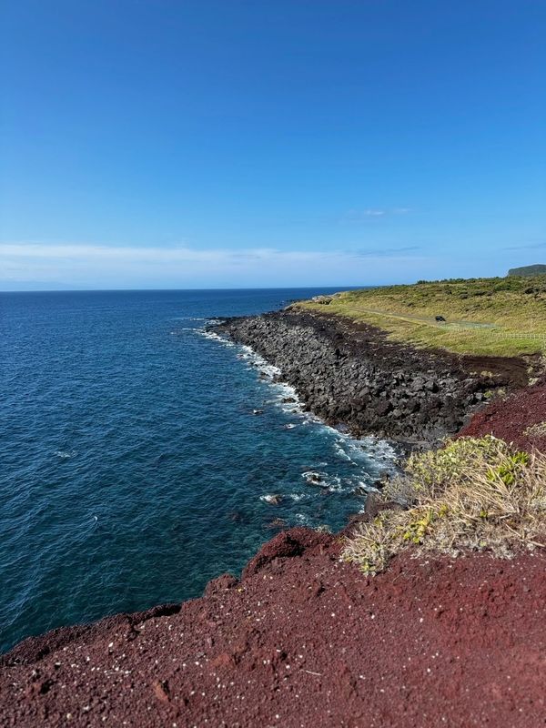 伊豆大島の海岸線沿いの道路